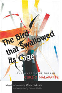 BirdThatSwallowed_8.31