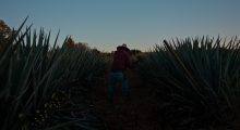 Still from Dos Estaciones
