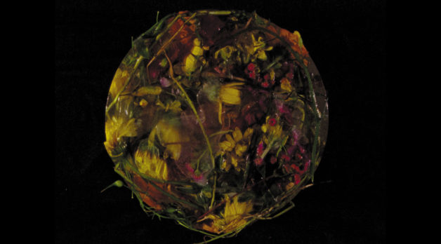 Jodie Mack’s Wasteland No. 3: Moons, Sons