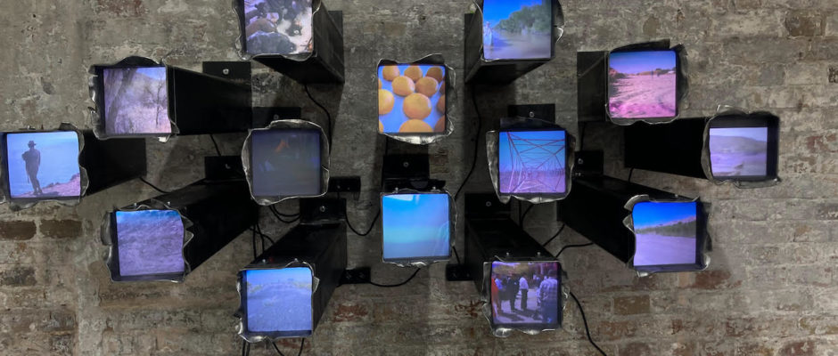 Cathy Lee Crane's multi-platform hybrid series Drawing the Line