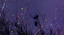 Colorful clay entities float through the sky in Evan Bode's short Thine Own Self