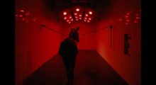 The titular donkey in Jerzy Skolimowski's Eo