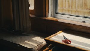 A pair of scissors with a red handle and lying on a table illuminated by sunlight coming in through a window.