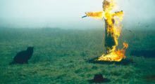 A black cat stands in a lush green field facing a burning scarecrow, whose top hat lays in the foreground.
