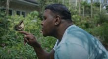 A man wearing a blue shirt stares at a butterfly that is perched in his finger.