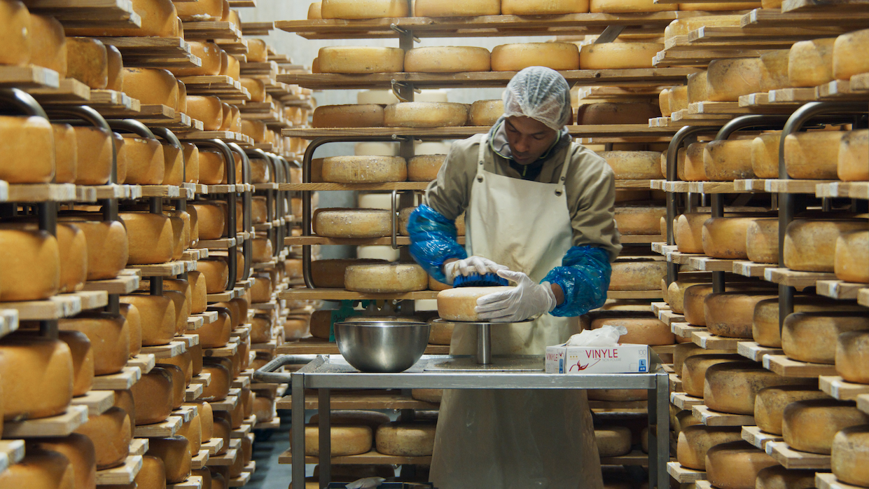 A man works within a cheese cave.