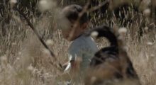 A young Mexican boy in a t-shirt holding a stick turns toward a snake.