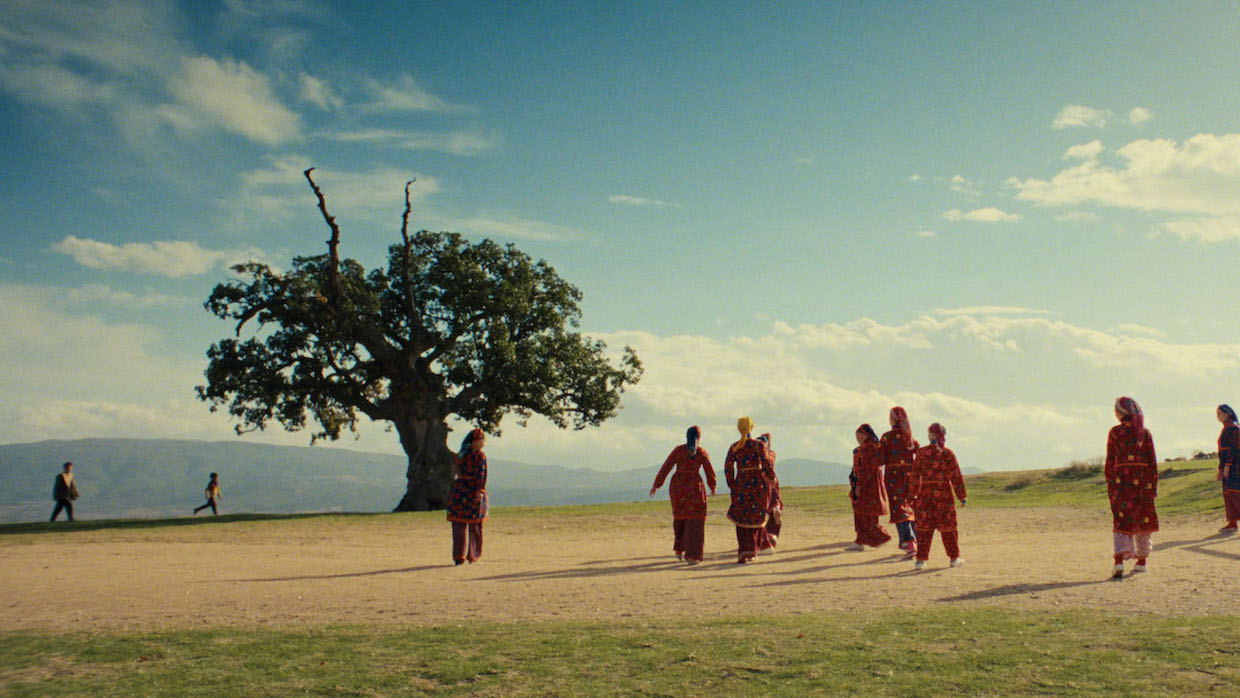 People wearing traditional garb walk through a field, a tree is off in the distance.