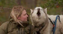 A blonde teenage girl wearing a green jacket looks at a white husky, who is howling.