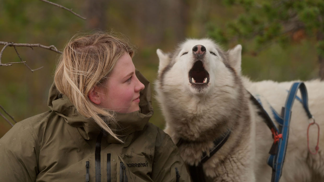 A blonde teenage girl wearing a green jacket looks at a white husky, who is howling.