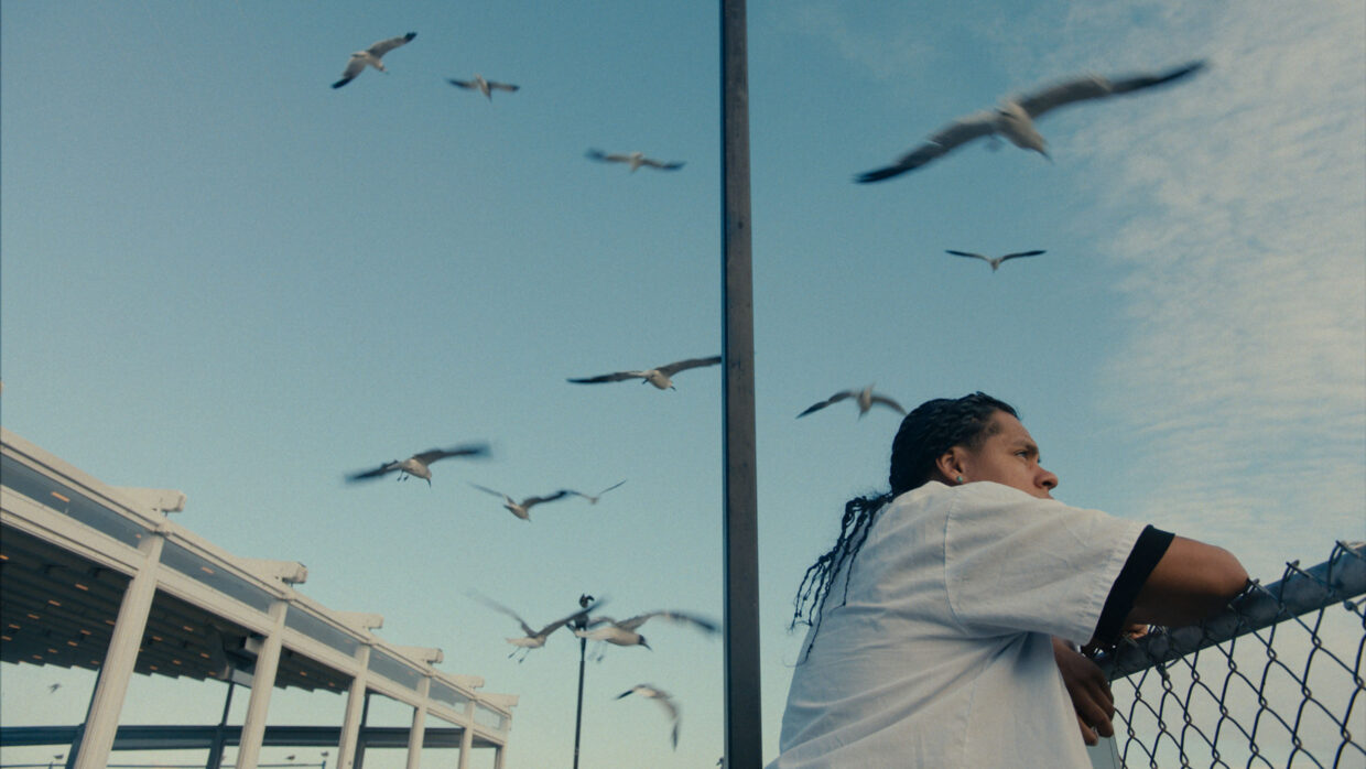 A man is leaning on a fence as large birds fly overhead.