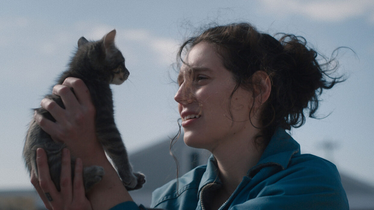 A woman is holding a cat in her hands.