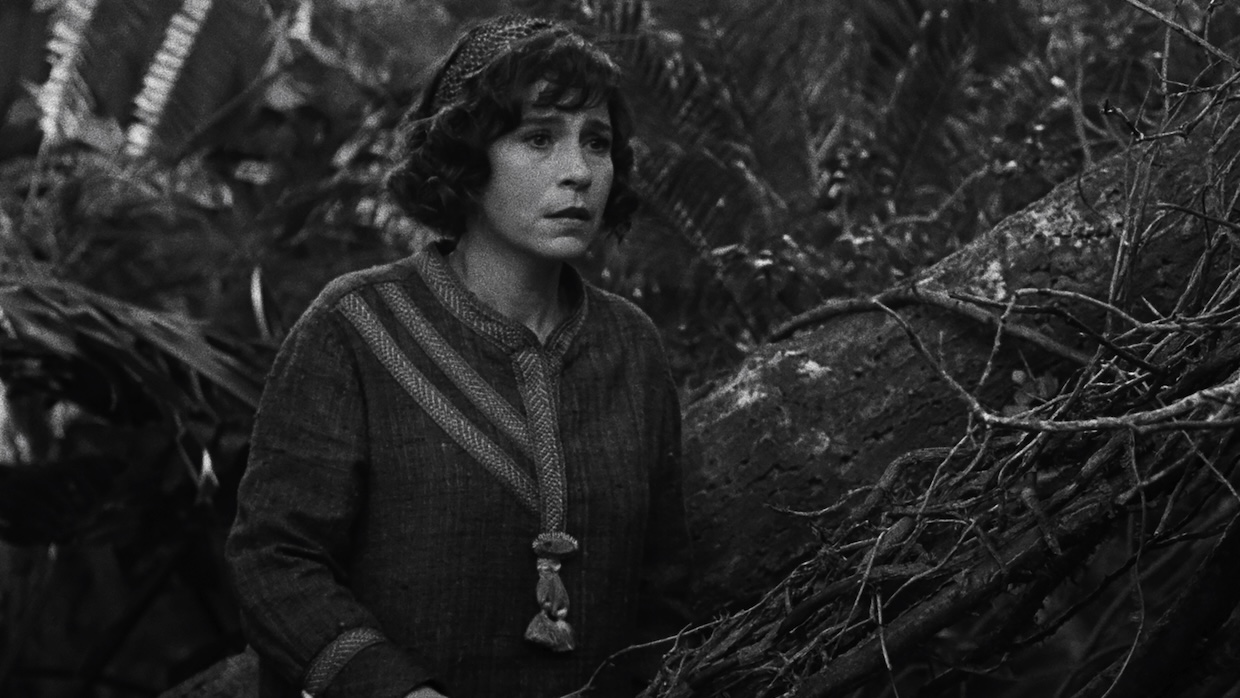 A woman stands in a forest.