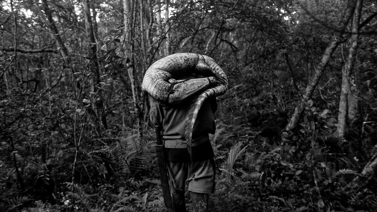 A man walks through a forest with a crocodile over his head.