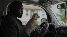 A man sits behind the wheel of a car with a small dog resting on his lap.