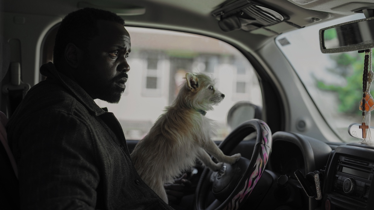 A man sits behind the wheel of a car with a small dog resting on his lap.