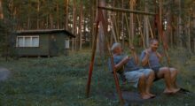 Two adult men ride swings in a forest.