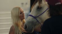 A girl and a horse.
