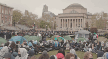Young people in tents on a lawn.