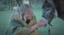 A middle aged blonde woman wearing glasses and a green and yellow poncho crouches down to pet a small donkey in a green field.