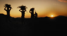 Three silhouetted figures hold baskets with produce above their heads. The sun hangs low in an orange sky behind them.