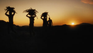 Three silhouetted figures hold baskets with produce above their heads. The sun hangs low in an orange sky behind them.