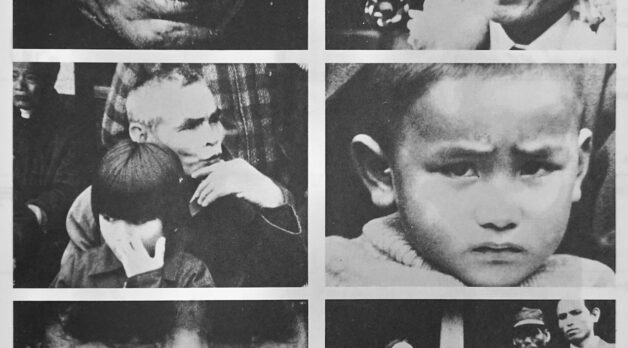 The Island a StageFilmmaker Magazine